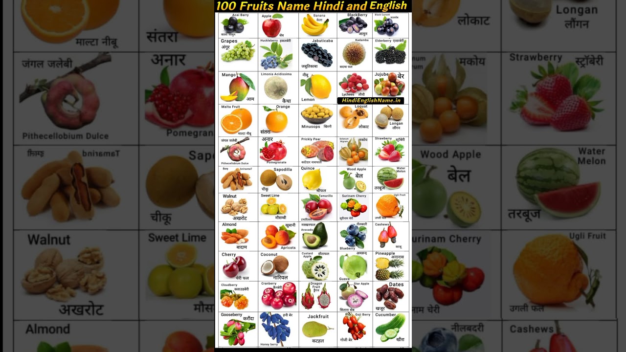 100 Fruits Name in Hindi and English  #hindireadduniya