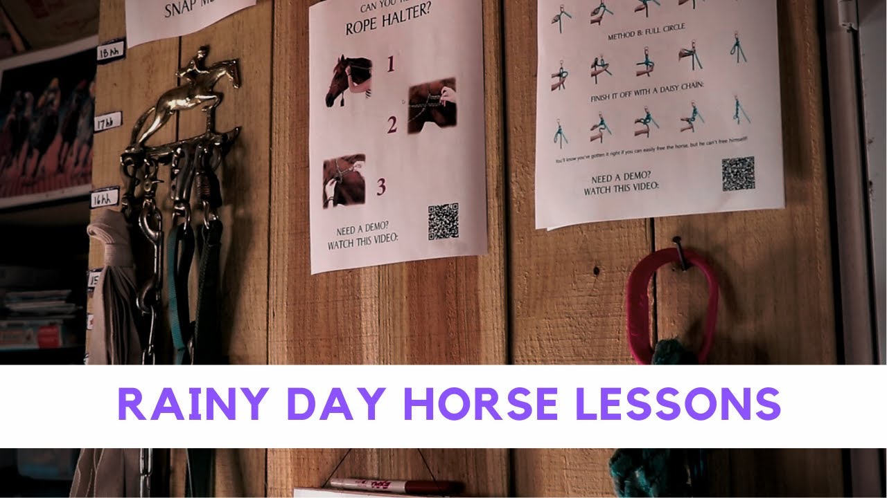 HorseSense Classroom Tour