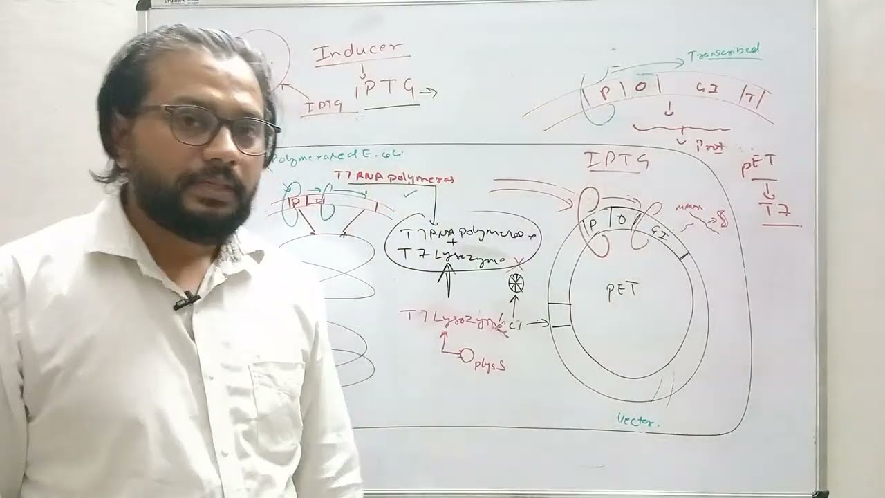 pET vector Lecture-11