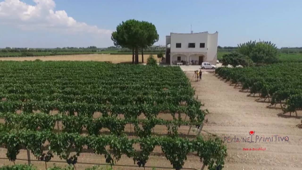 B&B La Perla nel Primitivo Torricella (Ta)
