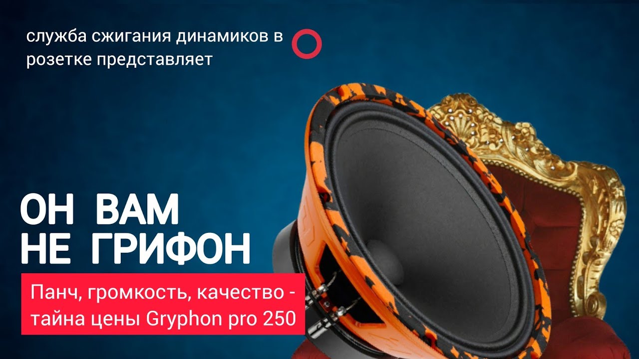 Тыл на динамиках Gryphon Pro 250 | автозвук зимой