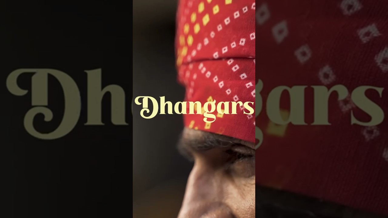 The Dhangars #folkartist #folkfusion #folkmusic #indianfolk #indianfolkmusic #indianmusicians