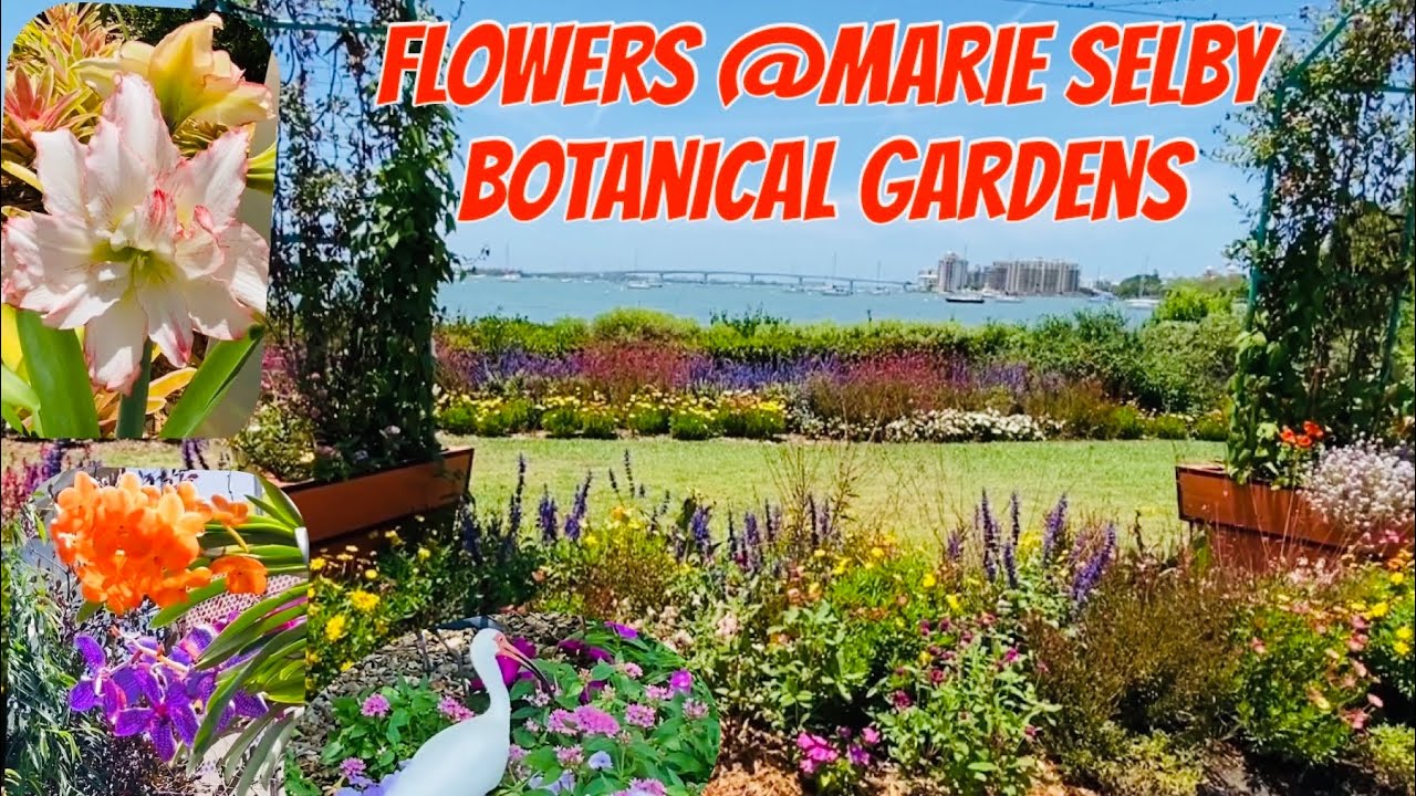 Marie Selby Botanical Gardens - Sarasota, Florida  (Part 1 - Tour)