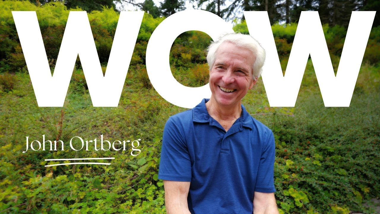 Appreciating Beauty & Excellence: Finding Joy in Everyday Wonders | John Ortberg