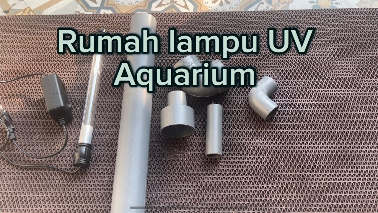 Rumah lampu UV aquarium,aman untuk ikan & media filter | #arwanasuperred #aquariumfish  #greenwater