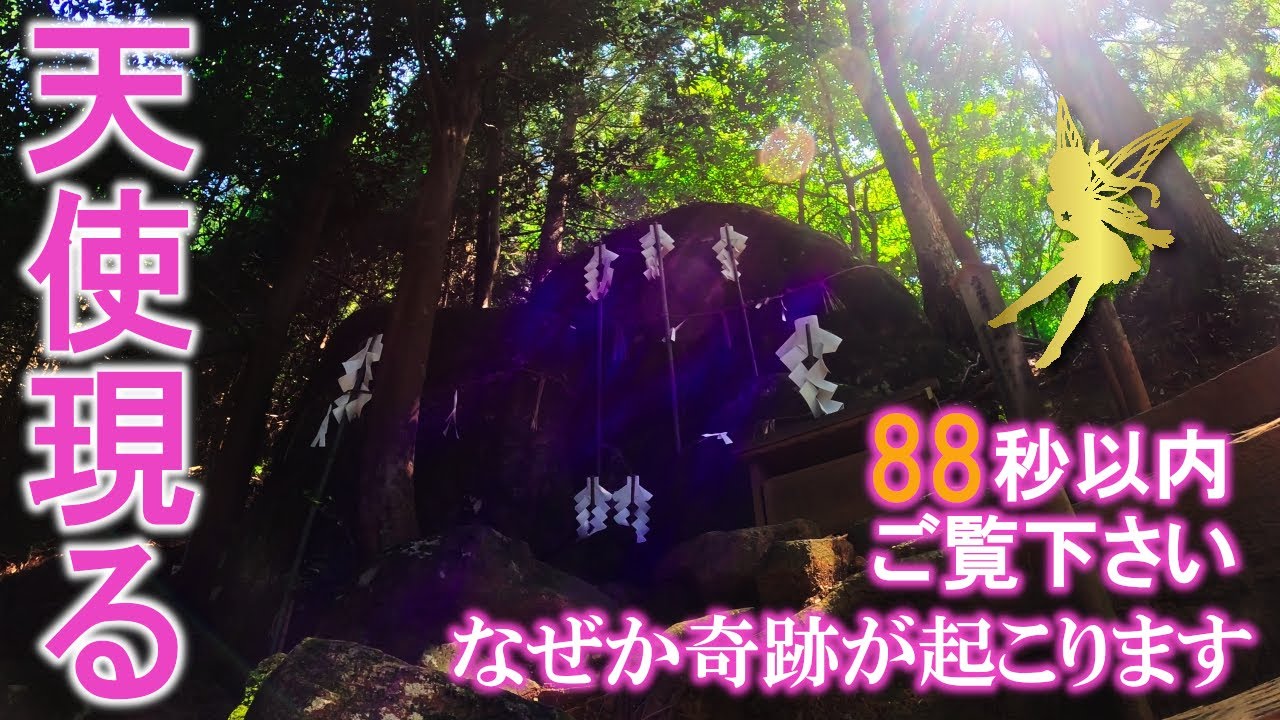⚠️神回※天使の姿が見えたらとんでもない強運です。なぜか奇跡が起こり始めます。もし逃したら二度とありません｜須我神社遠隔参拝325