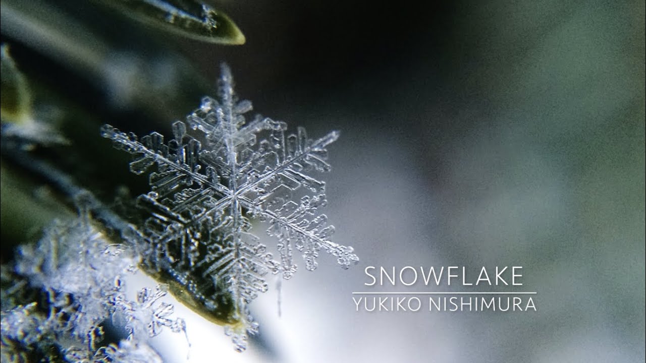 Snowflake for string orchestra / Yukiko Nishimura
