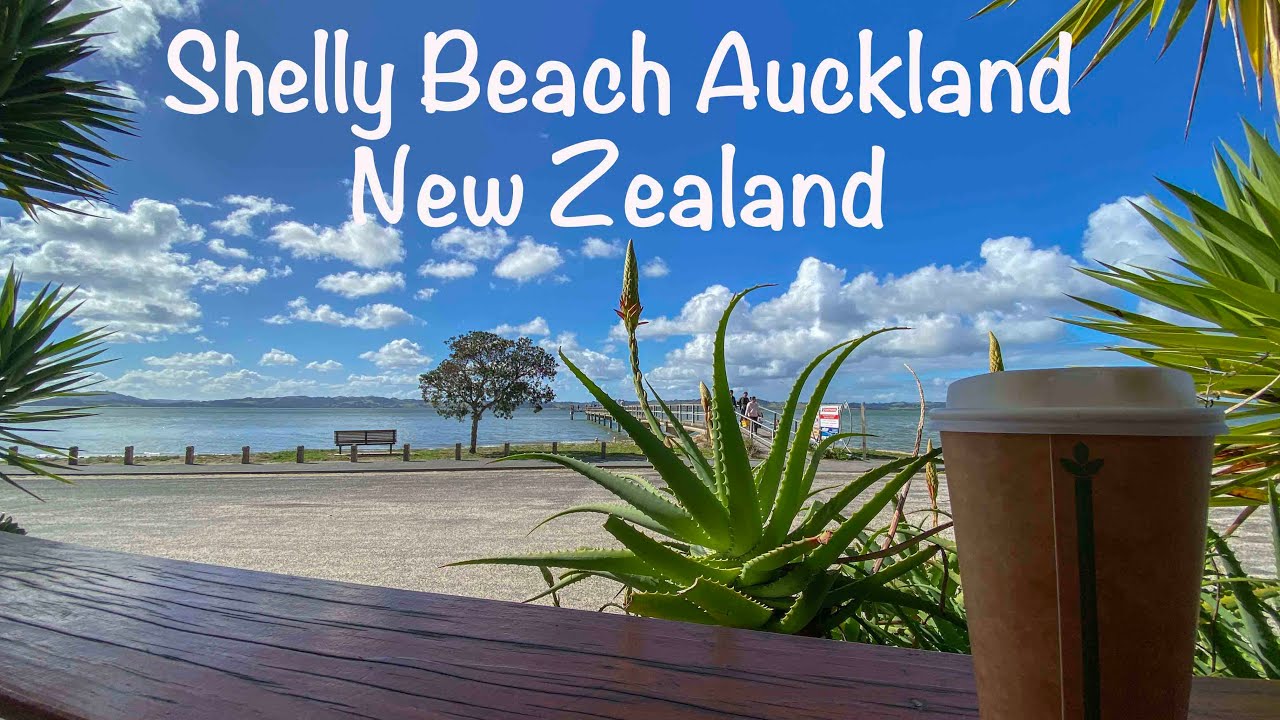 Shelly Beach _ Auckland - New Zealand