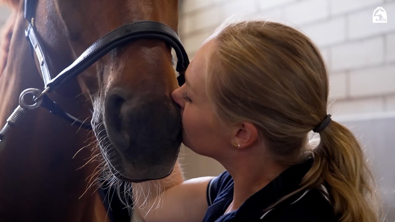 Stallbesuch bei Katharina Hemmer