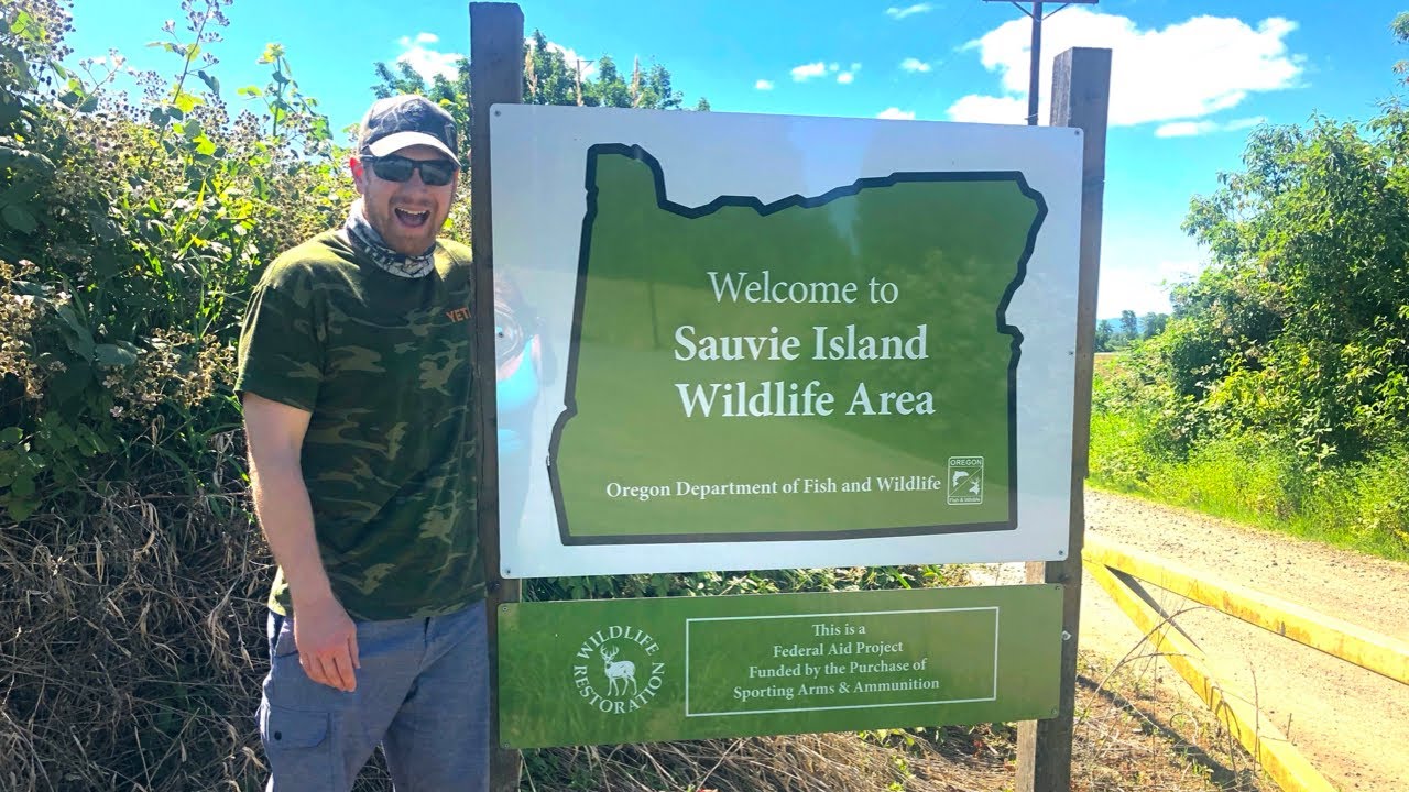 Exploring Sauvie Island Oregon
