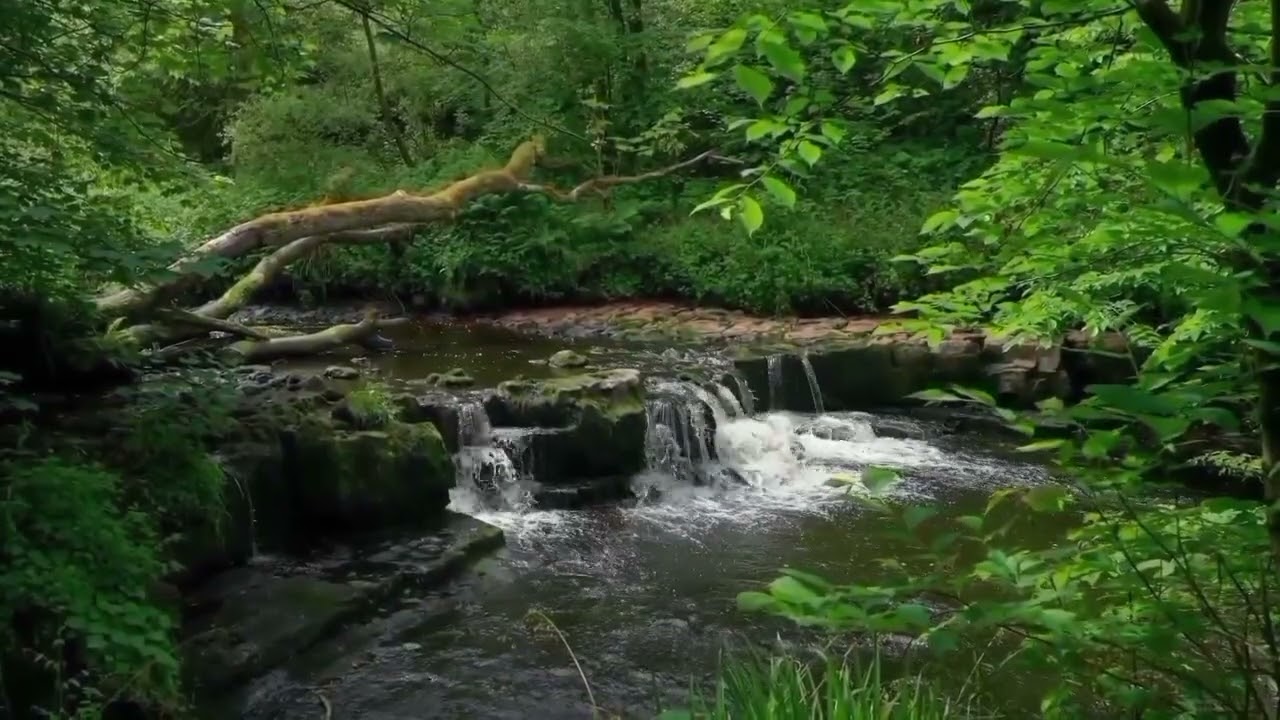 Soft River Stream Sounds 🌊 Relaxing Water for Deep Sleep, Study & Stress Relief