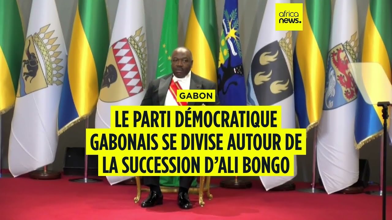 Gabon : guerre de succession au Parti démocratique d'Ali Bongo