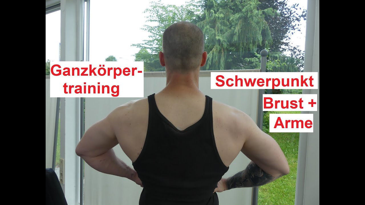 Ganzkörpertraining Schwerpunkt Brust, Bizeps und Trizeps -   Economic Training