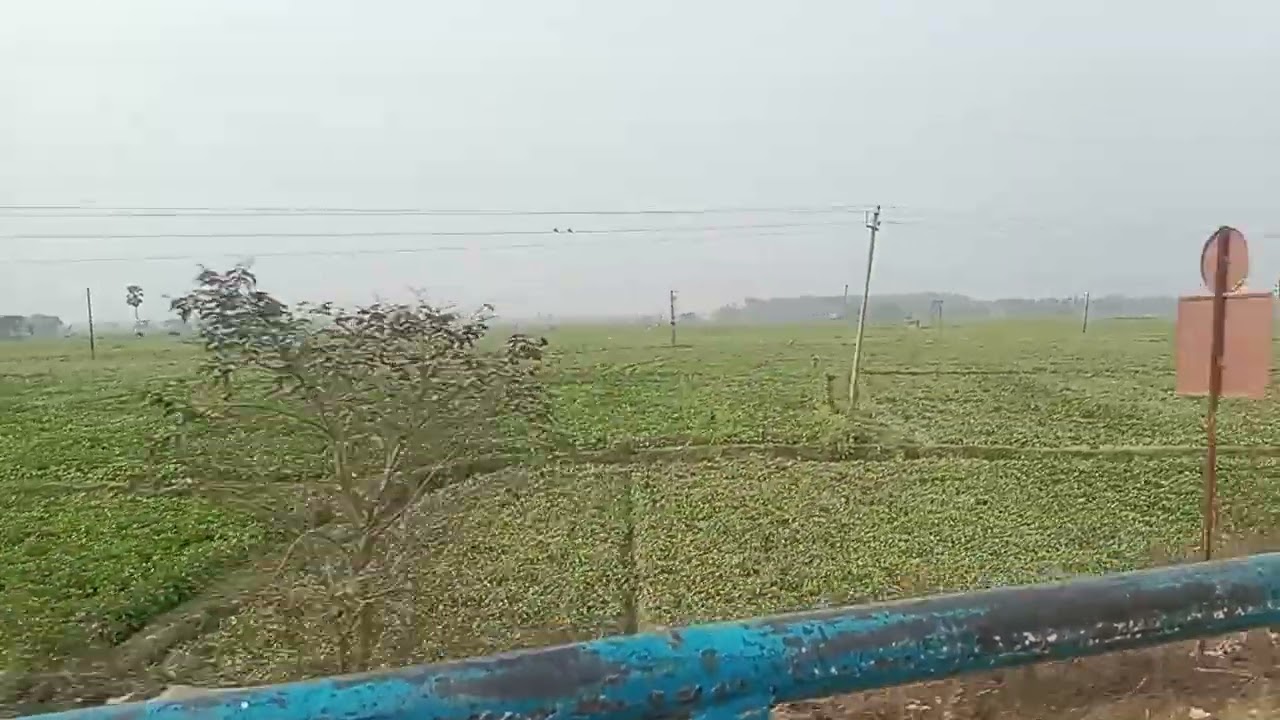 Aalu ka kheti