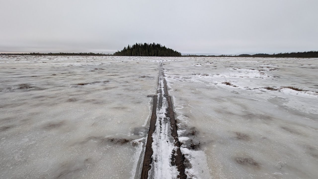 Walking in Finnish nature park Martimoaapa