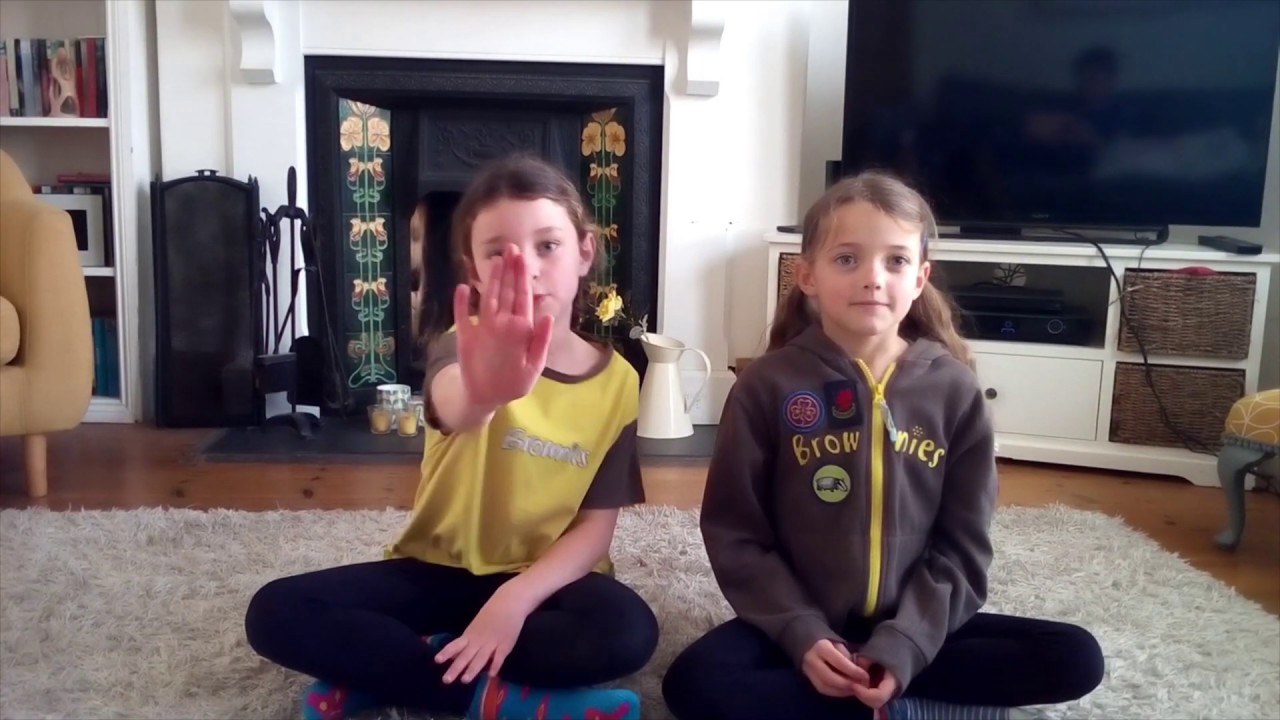 Brownie Camp