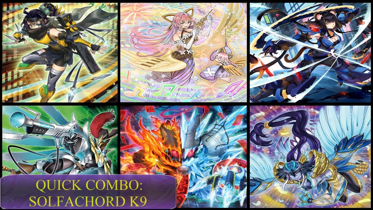 SOLFACHORD K9 🔥🔥 12 INTERRUPTIONS COMBO!!!! 🔥🔥 NIBIRU PROOF!!!