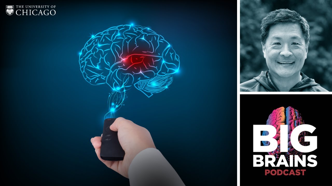 Can You Improve Your Working Memory and Attention? with Edward Awh