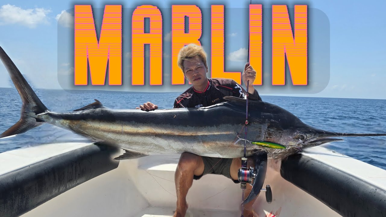 AK ROD K.O MARLIN  EASY