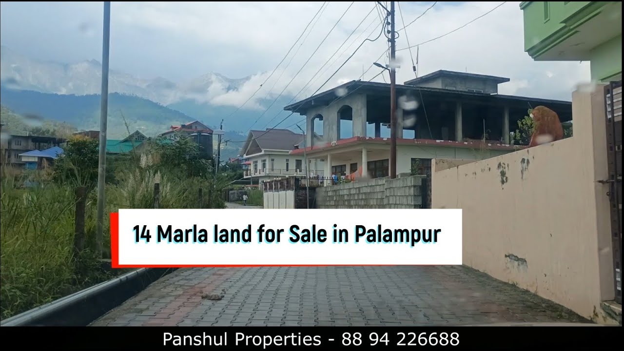 14 Marla Residential Plot for Sale in Chimbalhar, Palampur , Himachal Pradesh - 8894226688