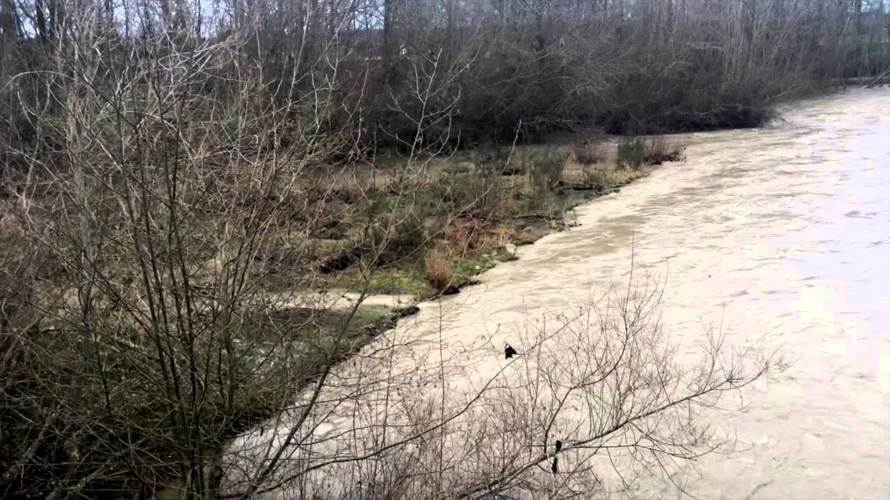 Sequim Dungeness River Nearly Flooding