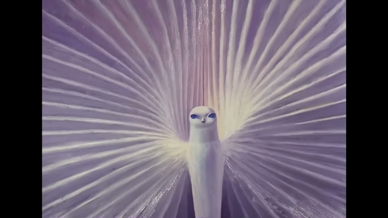 Fever dream bird