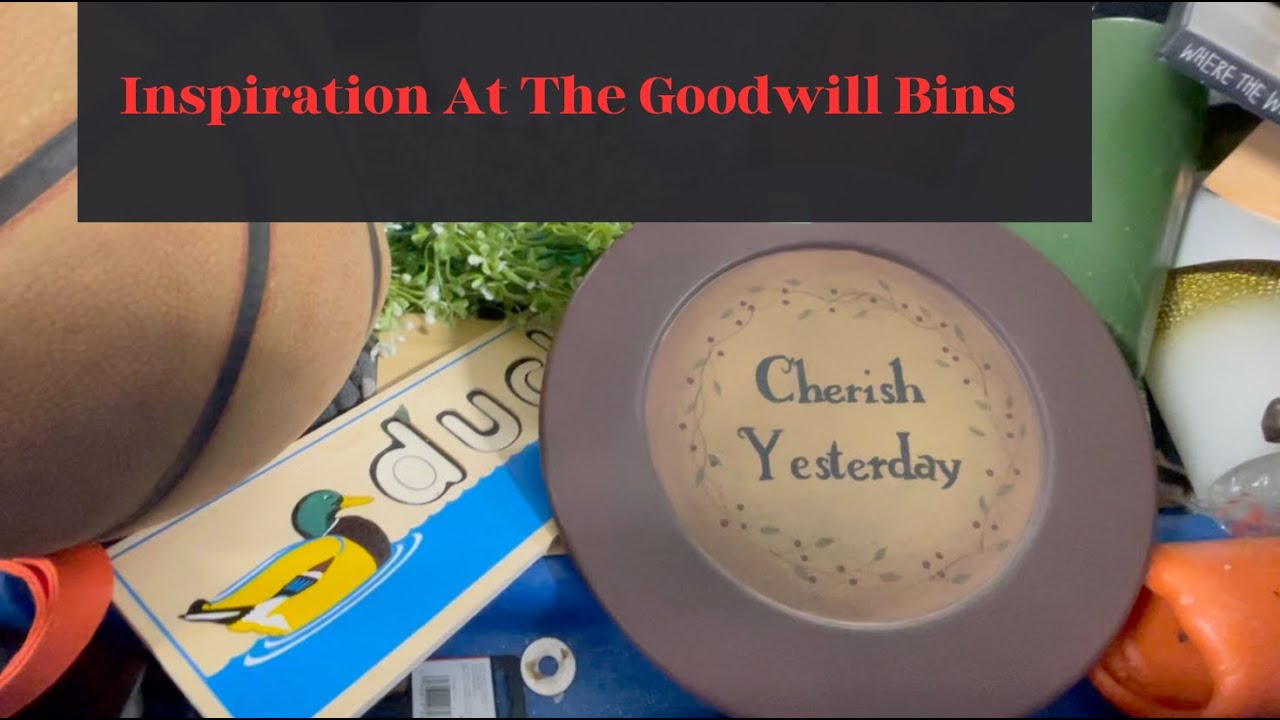 Treasure Hunting at the Goodwill Bins – January 7, 2025