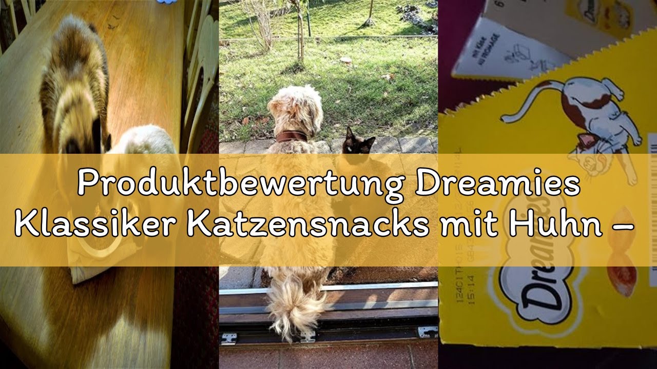 Produktbewertung Dreamies Klassiker Katzensnacks mit Huhn – Traumhaft knusprige Taschen mit zarter F