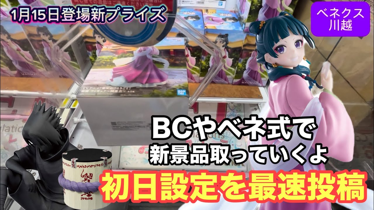 1月15日登場の猫猫やフィグライフのサスケの棺桶など新景品取ってきたのでどうぞ　#クレーンゲーム #ベネクス川越 #猫猫 