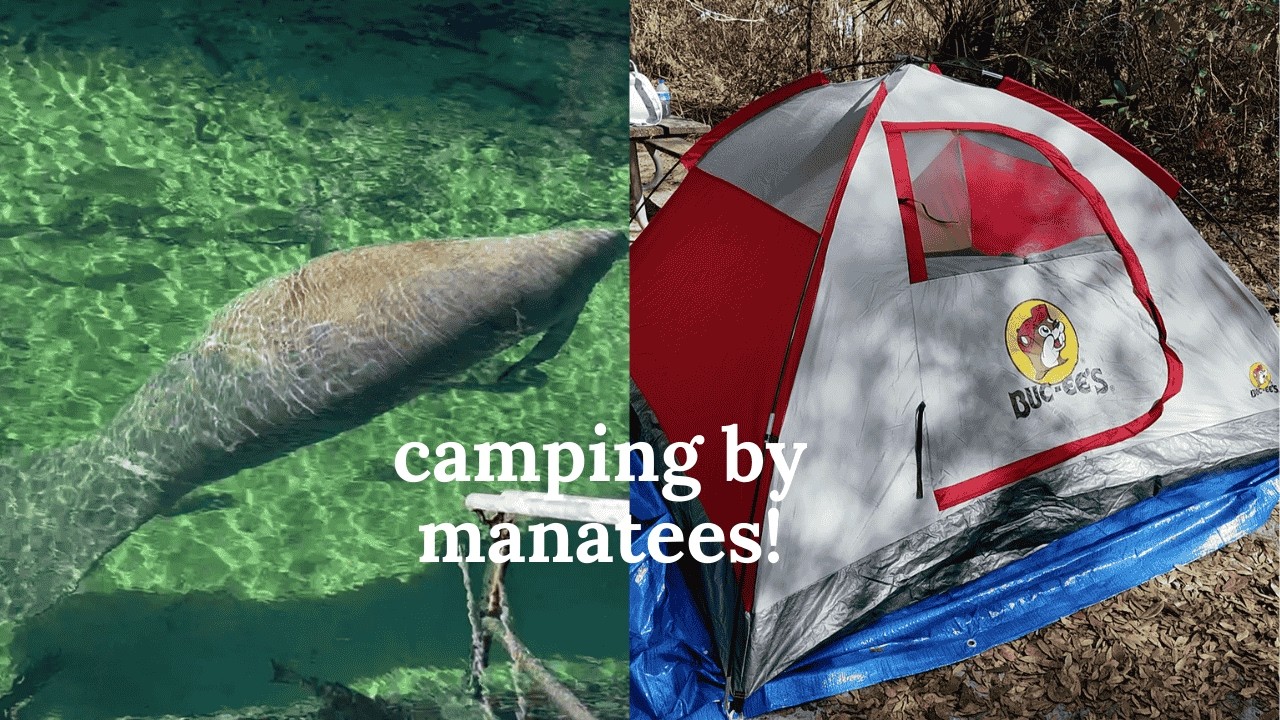 Solo Tent Camping by Manatees | Blue Spring State Park