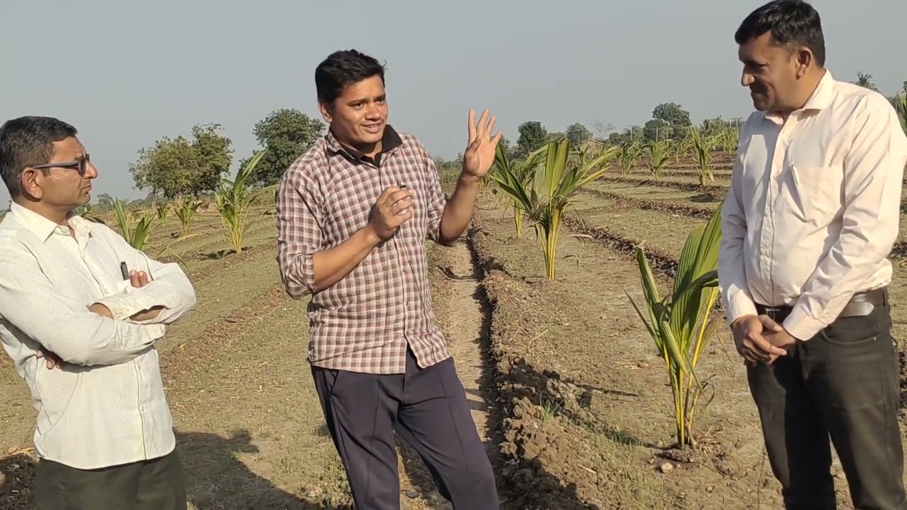 Dariya kinare naliyerini kheti દરિયા કિનારો નાળિયેર શા માટે ઉતમ..?