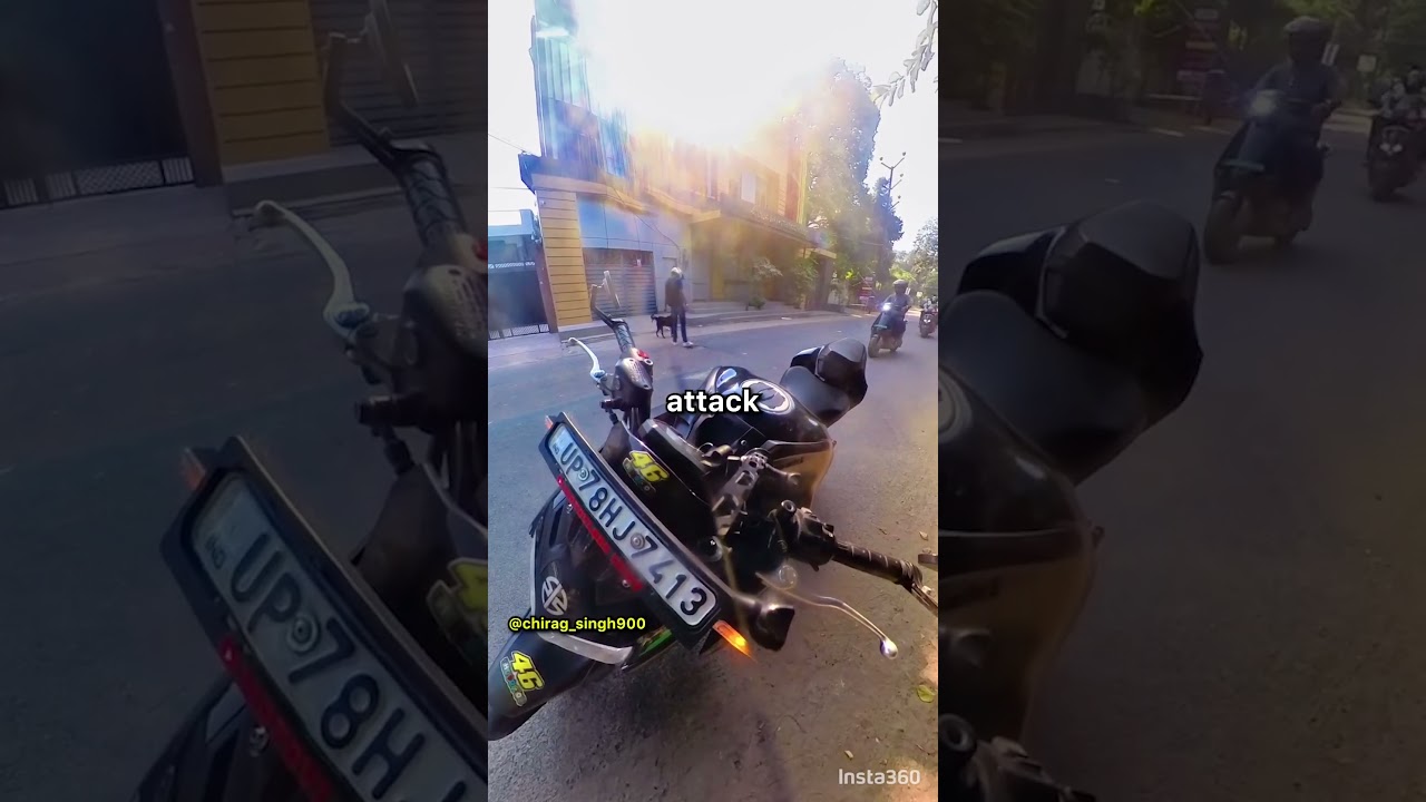 Dog Attacks Biker But Gets Instant Karma