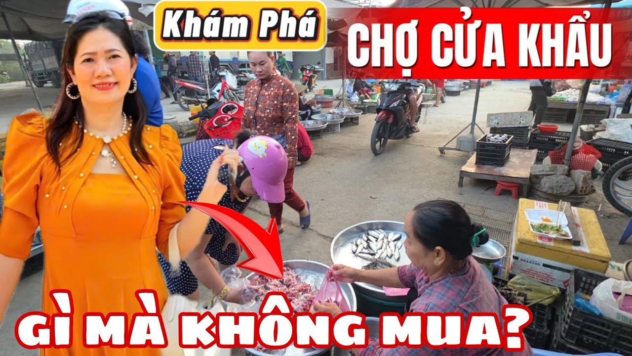 Khám Phá 