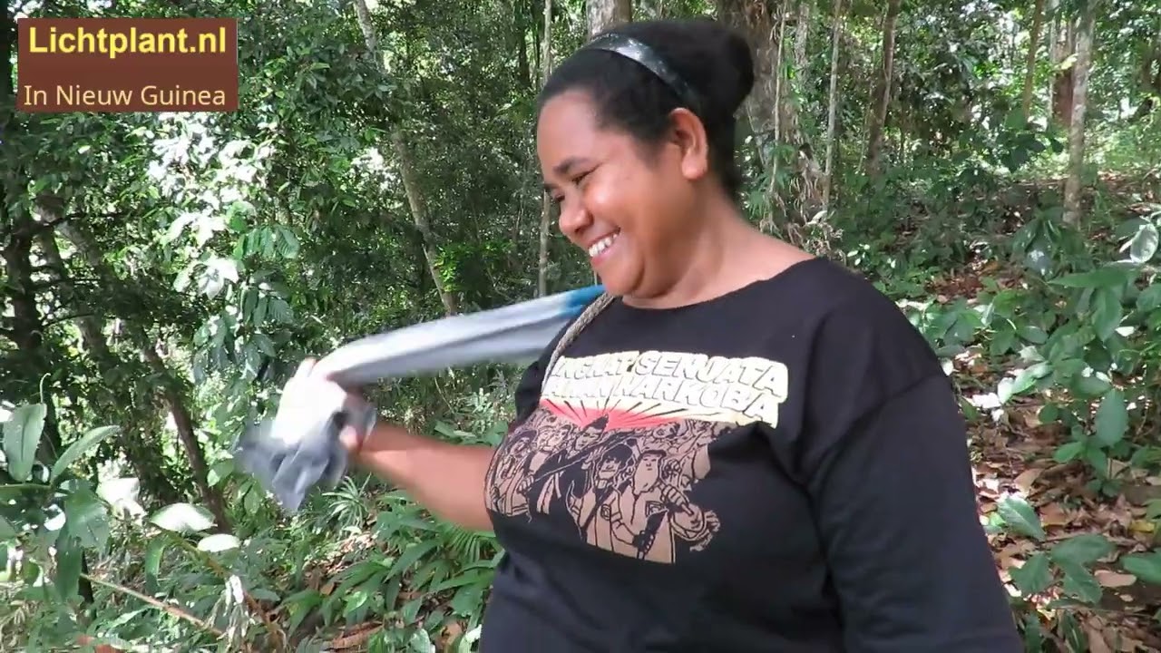 Wandeling in Papua bostuin met medicinaal voedsel en medicinale kruiden