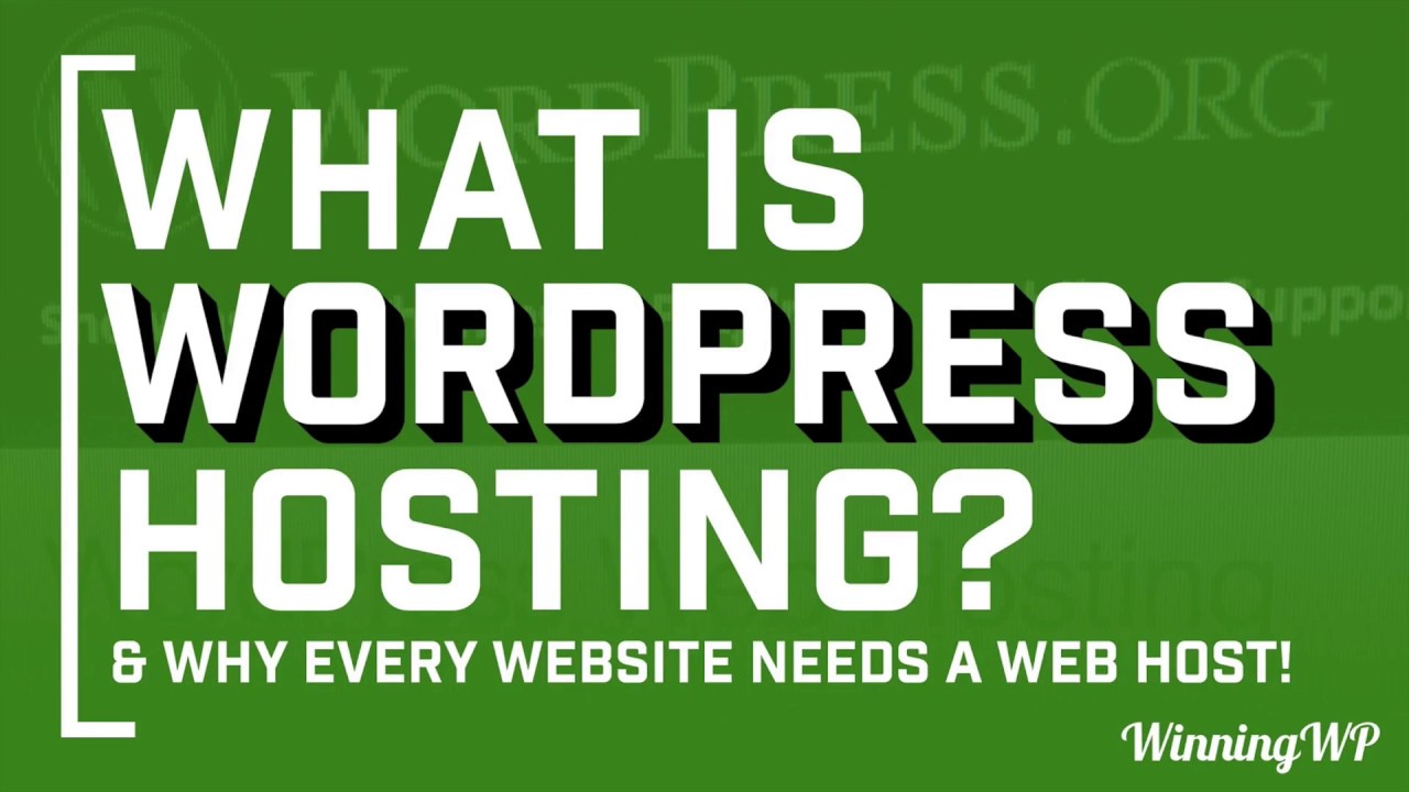 What is WordPress Hosting? Everything you need to know!