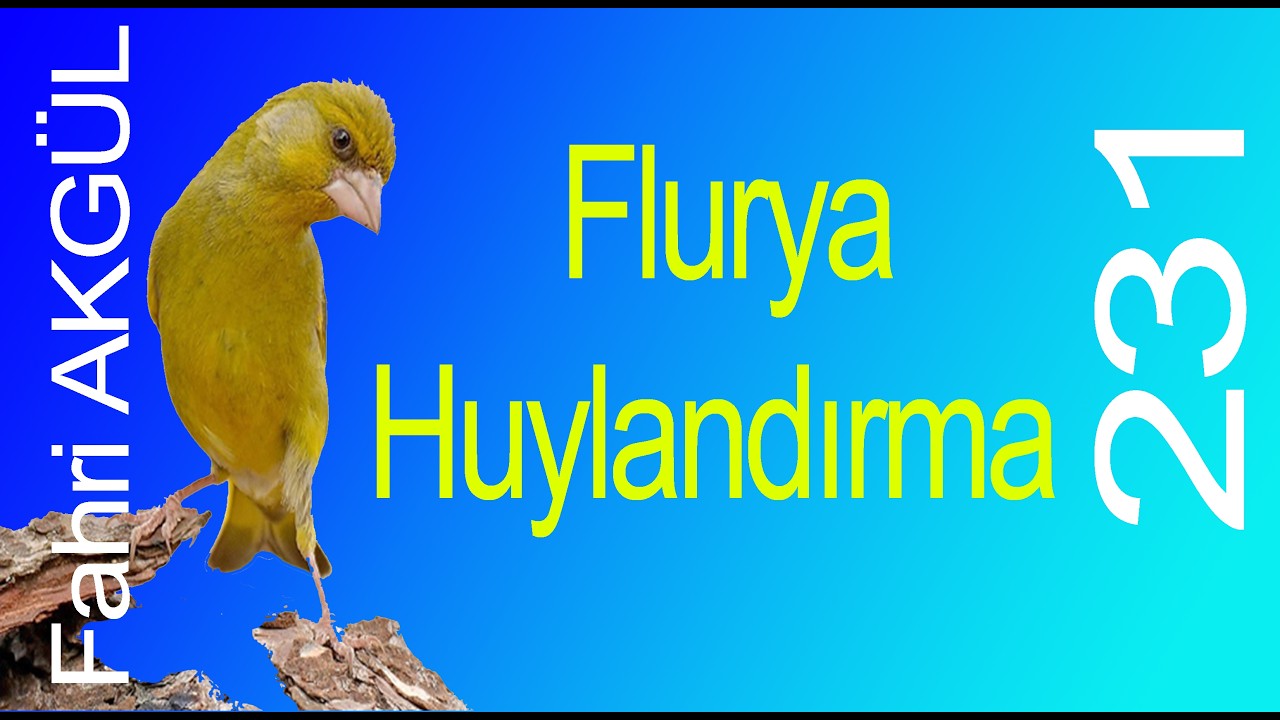 Fahri AKGÜL - Flurya Huylandırma 231