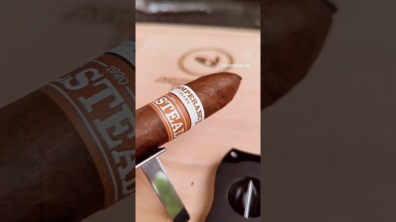 RoMa Craft Tobac Intemperance #aficionados #enjoyment #luxury #zigarre #cigar #cigarsdaily #belicos
