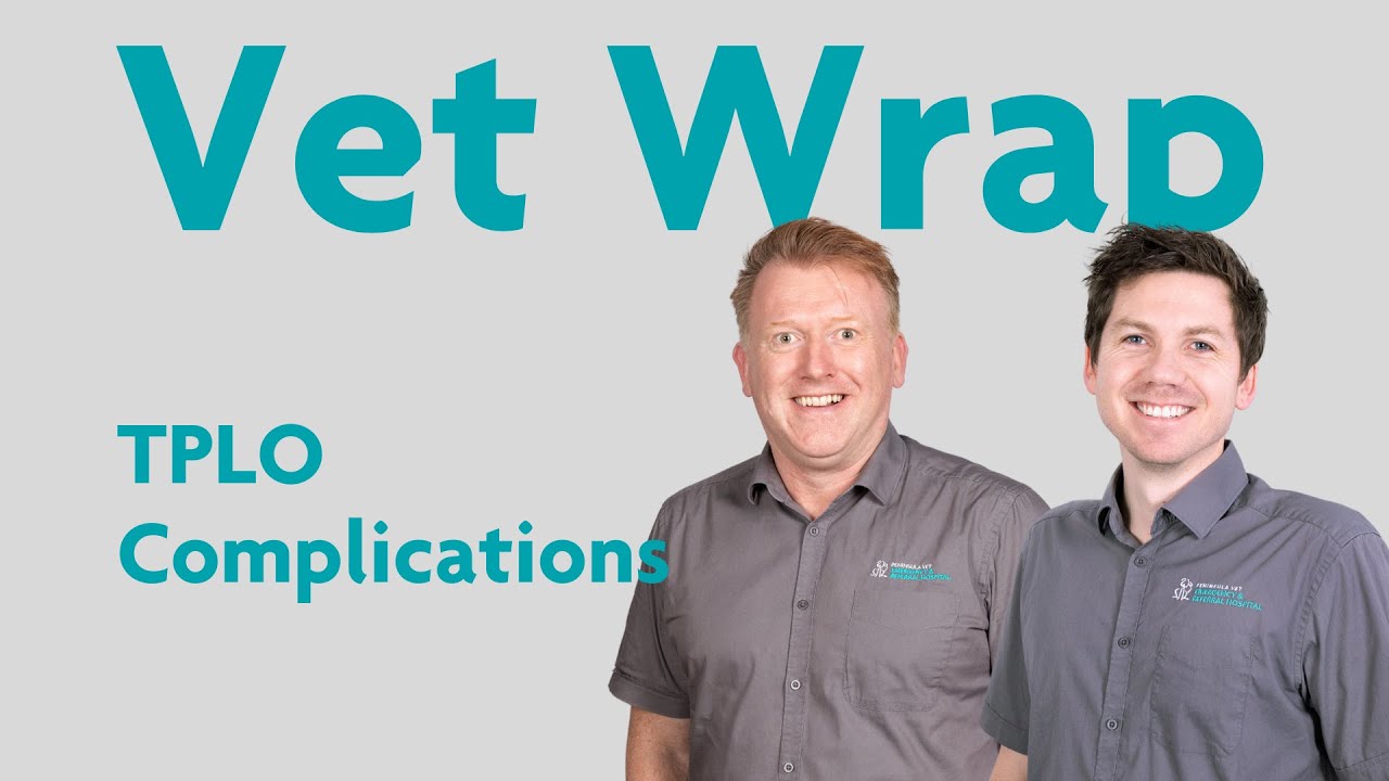 Vet Wrap Episode 5 TPLO Complications