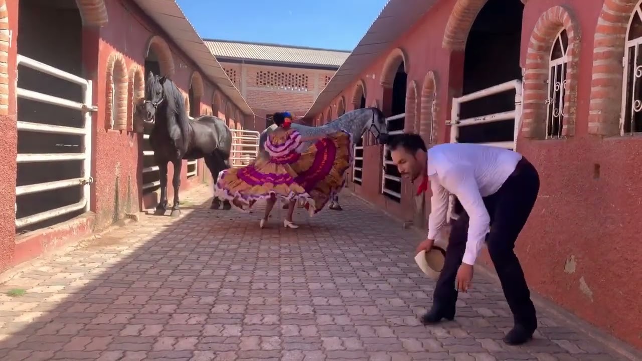 El Coyote - Sinaloa  #viral #viralvideo #videoyoutube #danzafolklórica