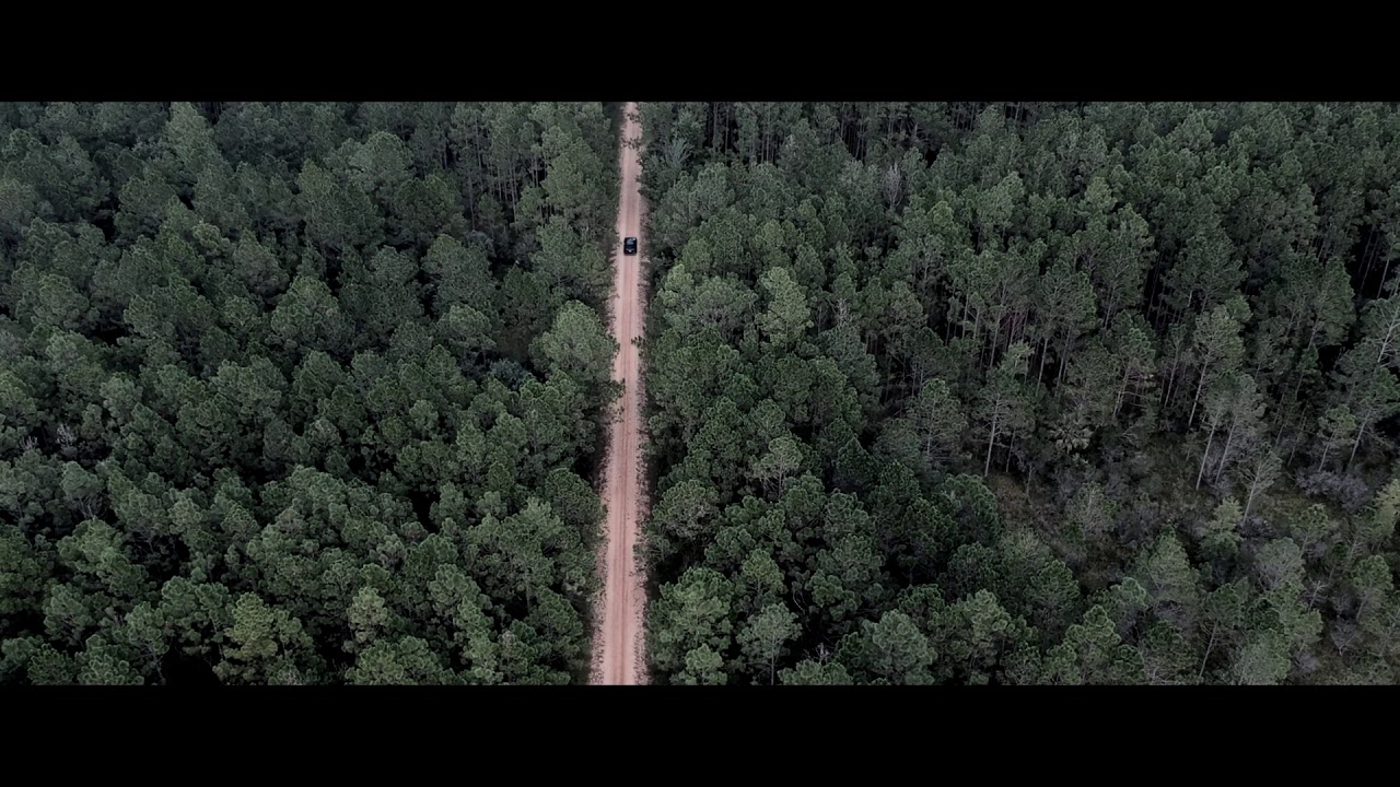 The Ghost [Official Music Video]
