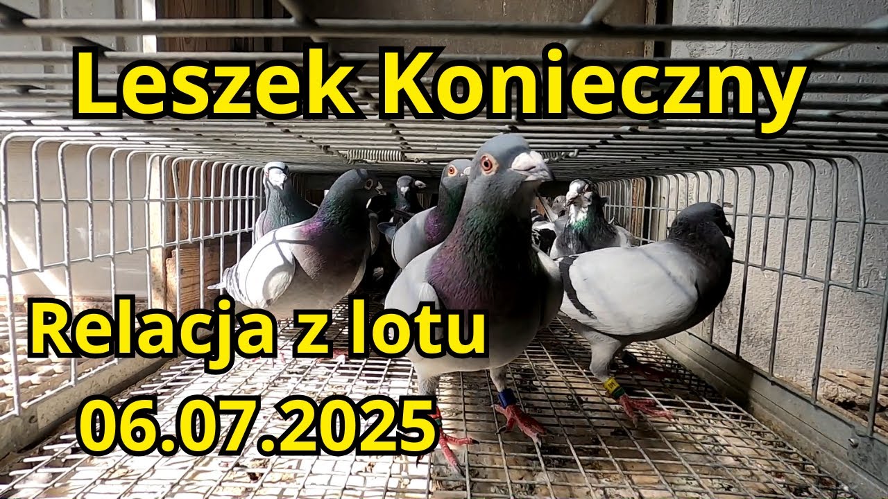 Leszek Konieczny - Relacja z Lotu  06.07.2025 Gołębie Pocztowe