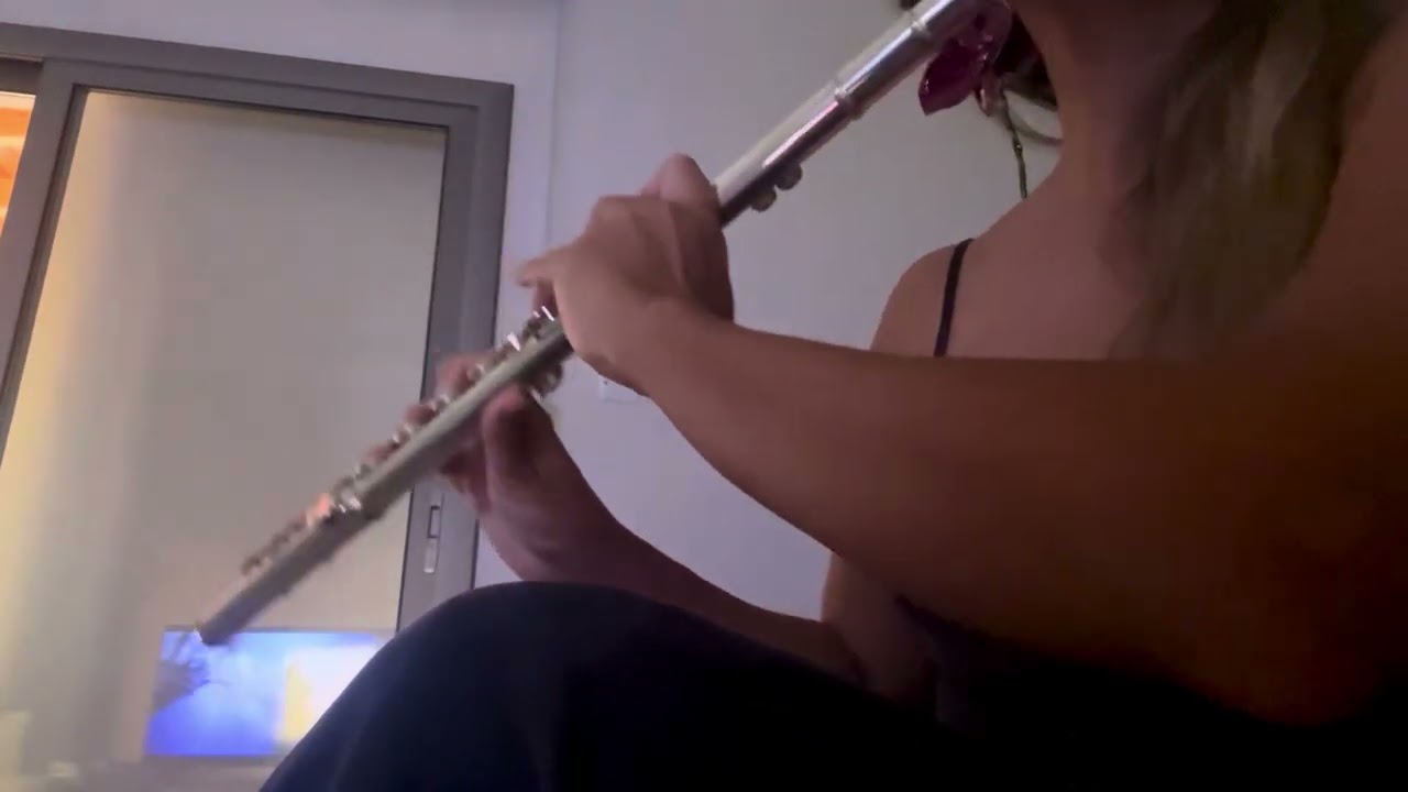 Hayko Cepkin - Demedim mi (flute cover)