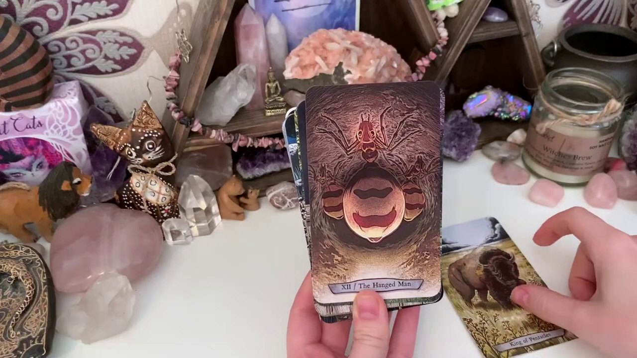 Animal & Nature Themed Tarot Decks // Deck Collection