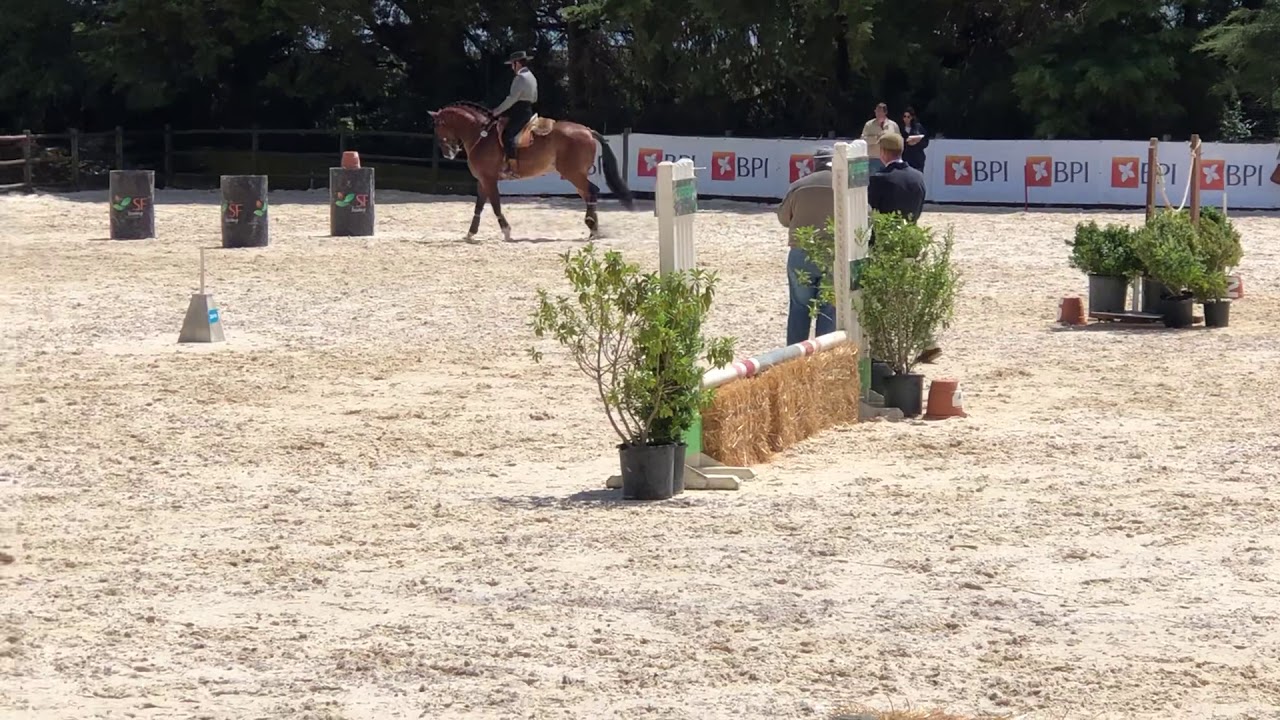 David Duarte de Oliveira “Fuzil Bf” 80.678% 1lugar Equitaçao de trabalho