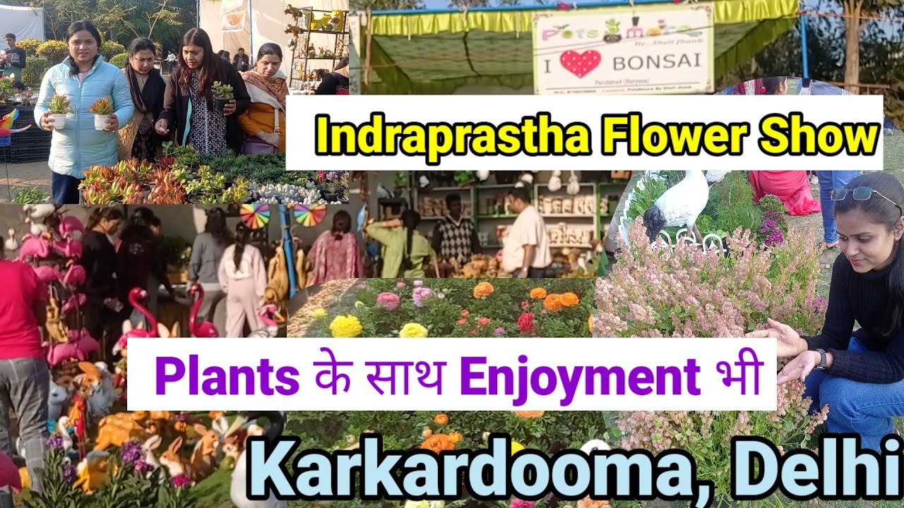 Plants के साथ साथ Enjoyment भी|Indraprastha Flower Show Delhi |#youtube #plantnurseryvisit 