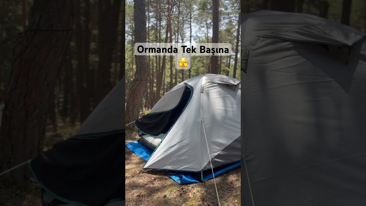 Ormanda tek başına 🏕️#like #camping #decathlon #doğa #live #shorts #shortvideo #ankara #pop
