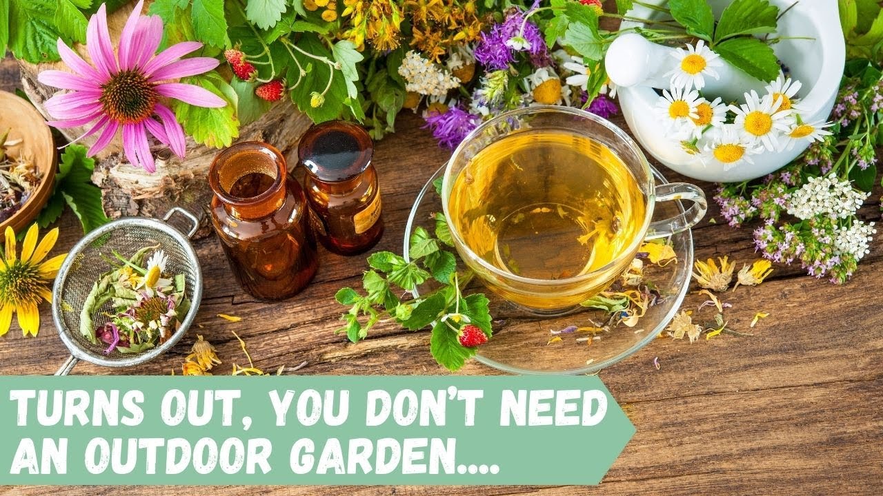Create Your OWN Indoor Herbal TEA Garden!