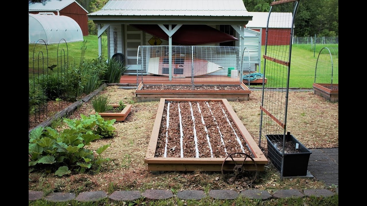 The Secret to Direct Seeding in Chopped Leaves