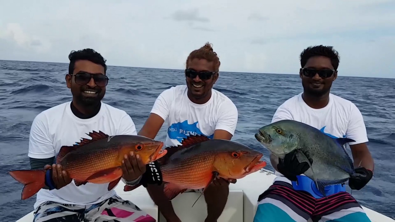 Atoll Fisher - Fishing in Maldives