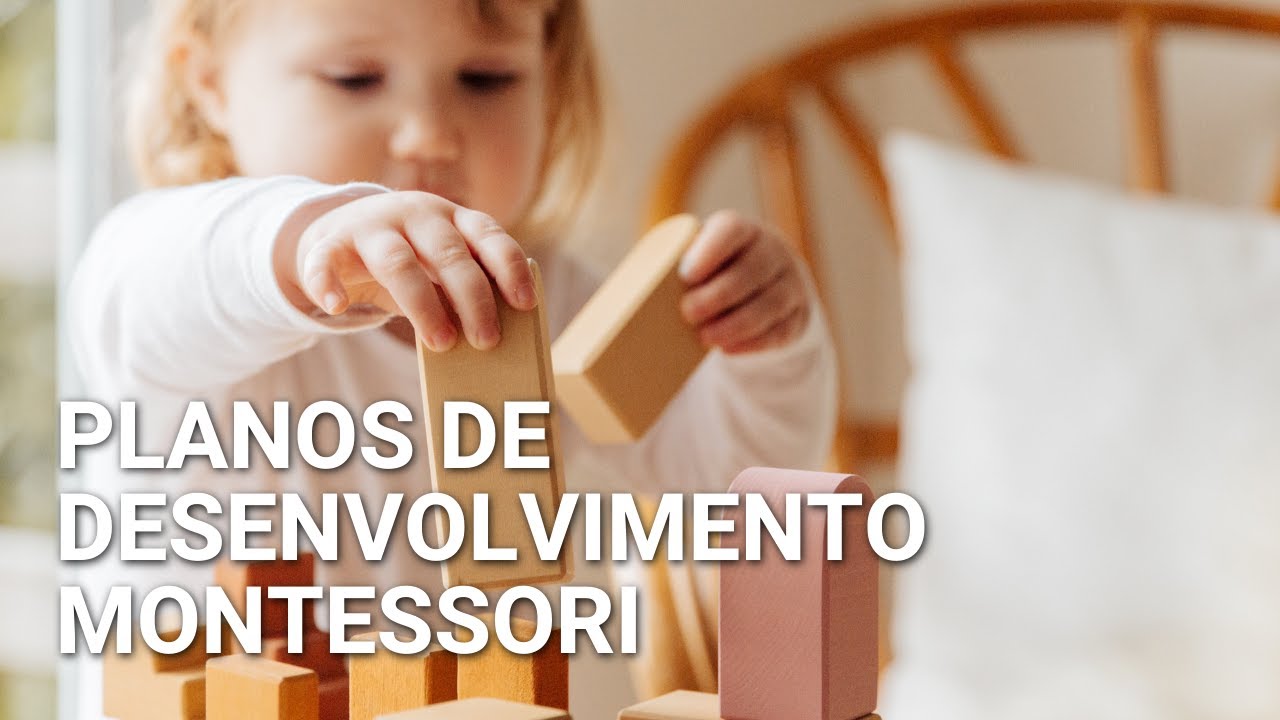 Os planos de desenvolvimento e suas características segundo Montessori